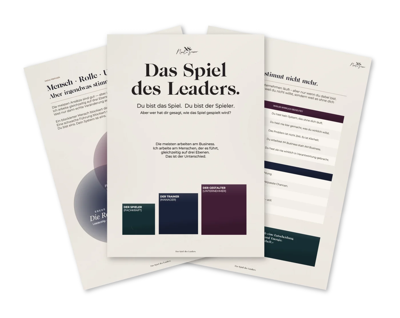 Das Spiel des Leaders – Framework PDF